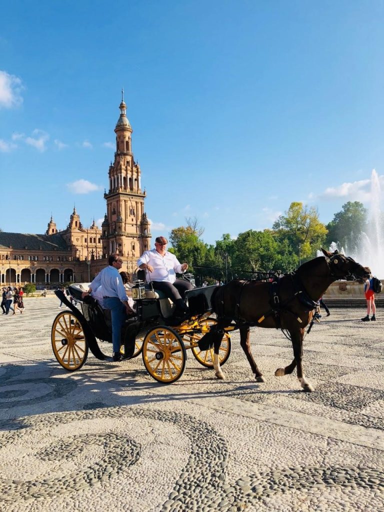 A black horse drawn carriage being drawn by a black horse, jaunting through the picturesque tan and gothic looking Plaza de Espana
