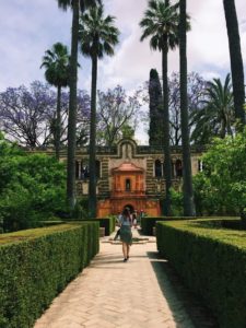 One student walking through the lush and green gardens of the Palacio Real in Sevilla. There are plam trees, cubic looking coarse shrubs, and orangey-red clay or plaster colored gothic fountains