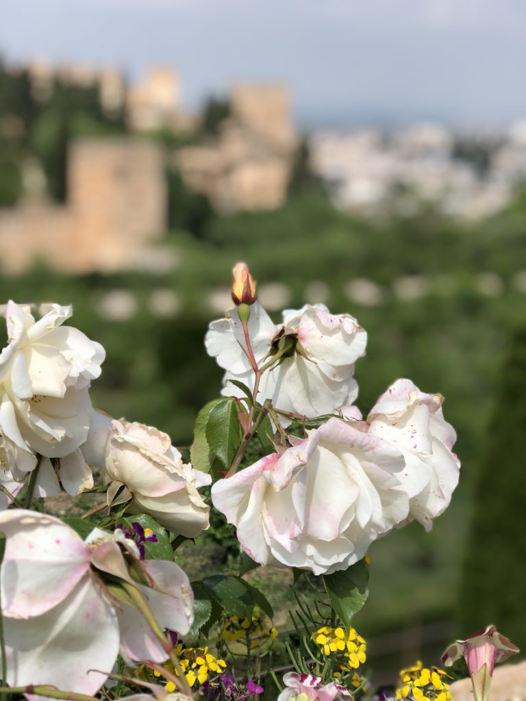 close up shot of flowers, which are in focus, and in the background is la alhambra